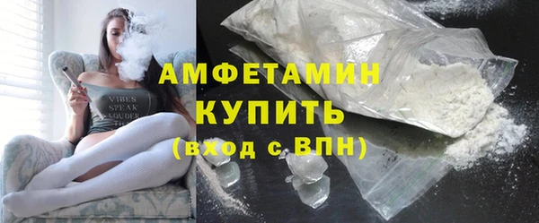 сатива Няндома