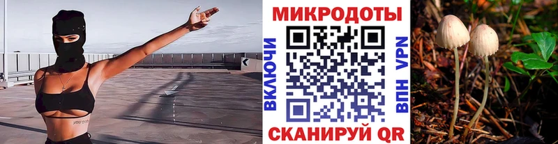 Галлюциногенные грибы GOLDEN TEACHER  купить наркоту  мега сайт  Лесозаводск 